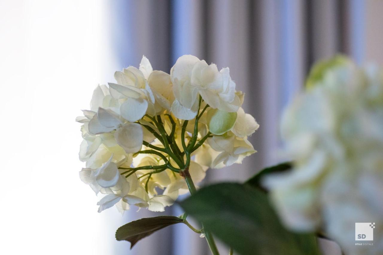 Pam Style Home ボローニャ エクステリア 写真